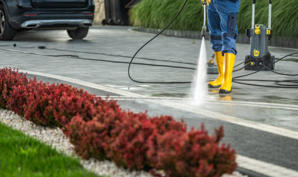 Best House Exterior Washing  in Lakefield, MN