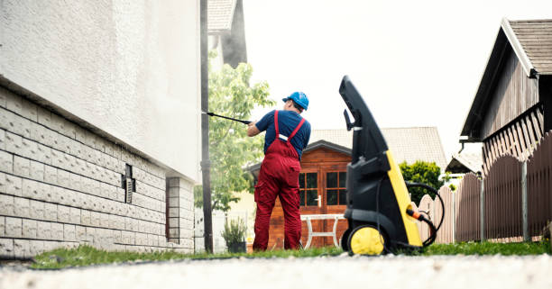 Best Gutter Cleaning  in Lakefield, MN